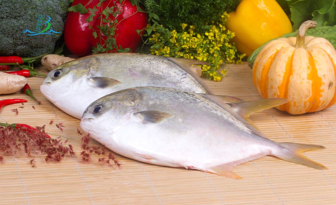 金鯧魚烘干工藝