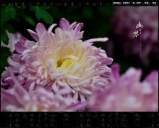 立威的設(shè)備與重陽(yáng)節(jié)那些事……