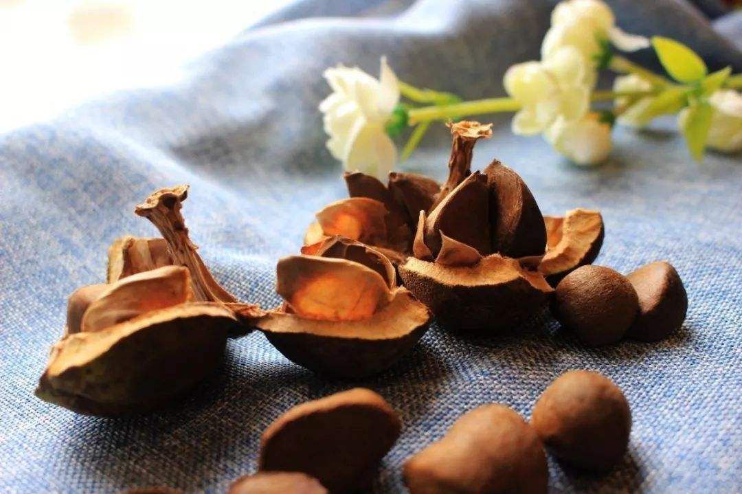 茶油籽烘干工藝