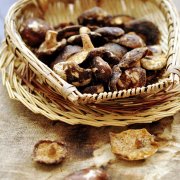 菌類(lèi)真空低溫脫水